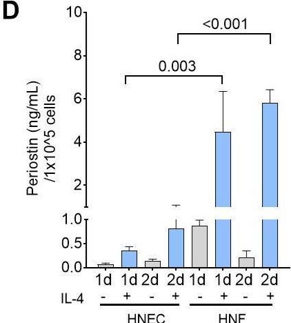 Fig.2.D showing Enzyme-linked immunosorbent assay from the publication: Inflammation-driven periostin in ECRS has contrasting effects on tissue structural integrity and osteitis.