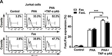 Fig.5.A showing Flow cytometry/Cell sorting in a Homo sapiens (Human) sample from the publication: Transmembrane TNF-α promotes activation-induced cell death by forward and reverse signaling.