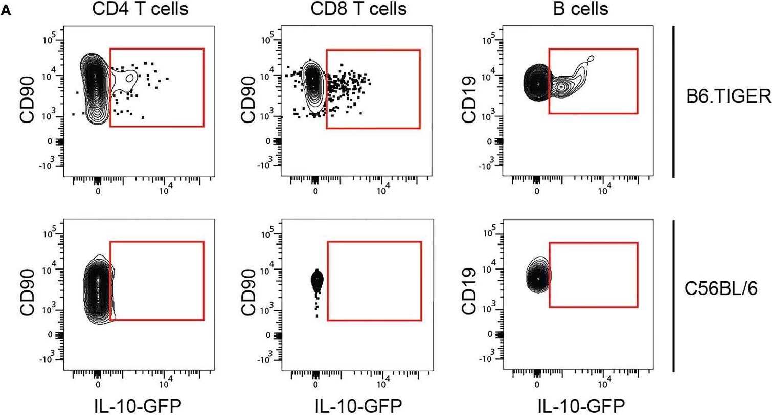 Fig.6.A showing Flow cytometry/Cell sorting from the publication: Islet Lymphocytes Maintain a Stable Regulatory Phenotype Under Homeostatic Conditions and Metabolic Stress.