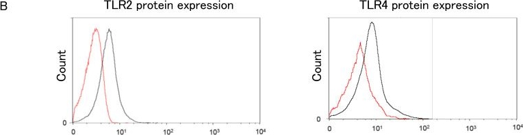 Fig.6.B showing Flow cytometry/Cell sorting in a Mus musculus (House mouse) sample from the publication: Porphyromonas gingivalis Mfa1 Induces Chemokine and Cell Adhesion Molecules in Mouse Gingival Fibroblasts via Toll-Like Receptors.