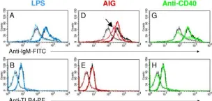 Fig.3.A showing Flow cytometry/Cell sorting from the publication: Components of the antigen processing and presentation pathway revealed by gene expression microarray analysis following B cell antigen receptor (BCR) stimulation.