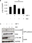 Fig.6.B showing Western Blotting from the publication: Identification of the amino acids 300-600 of IRS-2 as 14-3-3 binding region with the importance of IGF-1/insulin-regulated phosphorylation of Ser-573.
