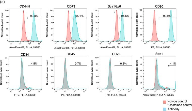 Fig.2.E showing Flow cytometry/Cell sorting from the publication: Induction of osteogenic differentiation of bone marrow stromal cells on 3D polyester-based scaffolds solely by subphysiological fluidic stimulation in a laminar flow bioreactor.