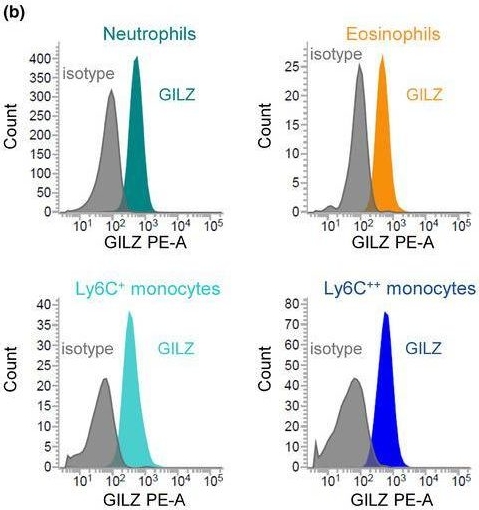 Fig.4.B showing Flow cytometry/Cell sorting in a Mus musculus (House mouse) sample from the publication: Altered glucocorticoid metabolism represents a feature of macroph-aging.