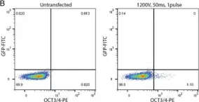 Fig.2.B showing Flow cytometry/Cell sorting from the publication: Reprogramming Urine-Derived Cells using Commercially Available Self-Replicative RNA and a Single Electroporation.