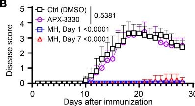 Fig.5.B from the publication: Apex1 safeguards genomic stability to ensure a cytopathic T cell fate in autoimmune disease models.