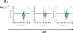 Fig.6.B showing Flow cytometry/Cell sorting from the publication: Trans-sialidase-based vaccine candidate protects against Trypanosoma cruzi infection, not only inducing an effector immune response but also affecting cells with regulatory/suppressor phenotype.