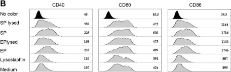 Fig.4.B showing Flow cytometry/Cell sorting in a Mus musculus (House mouse) sample from the publication: D-Alanylation of Teichoic Acids and Loss of Poly-N-Acetyl Glucosamine in Staphylococcus aureus during Exponential Growth Phase Enhance IL-12 Production in Murine Dendritic Cells.