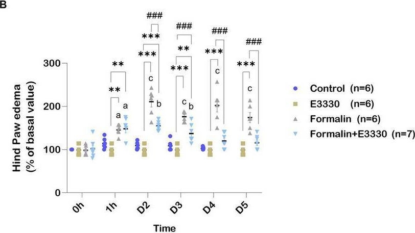 Fig.2.B from the publication: Targeting APE1/Ref-1 to alleviate formalin-induced pain and spinal neuro-inflammation in rats: a promising therapeutic approach.