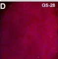 Fig.4.D showing Immunocytochemistry-immunofluorescence in a Homo sapiens (Human) sample from the publication: A large-scale proteomic analysis of human embryonic stem cells.
