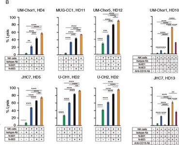 Fig.2.B from the publication: Combinatorial Natural Killer Cell-based Immunotherapy Approaches Selectively Target Chordoma Cancer Stem Cells.