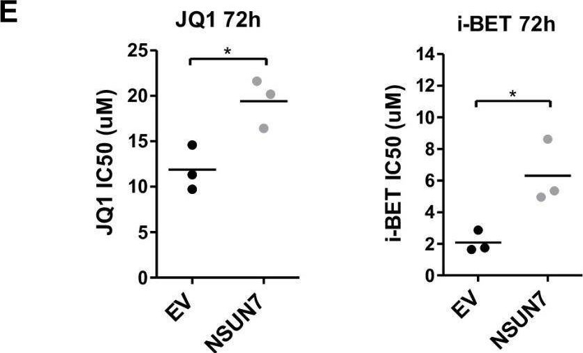 Fig.3.E from the publication: Epigenetic inactivation of the 5-methylcytosine RNA methyltransferase NSUN7 is associated with clinical outcome and therapeutic vulnerability in liver cancer.