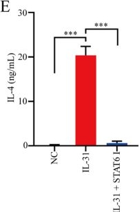 Fig.3.E showing Enzyme-linked immunosorbent assay from the publication: Effects of FAP+ cancer-associated fibroblasts on anti-PD-1 immunotherapy and CD4+ T cell polarization in gastric cancer.