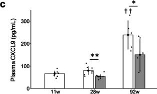 Fig.3.C showing Enzyme-linked immunosorbent assay from the publication: Ergothioneine promotes longevity and healthy aging in male mice.