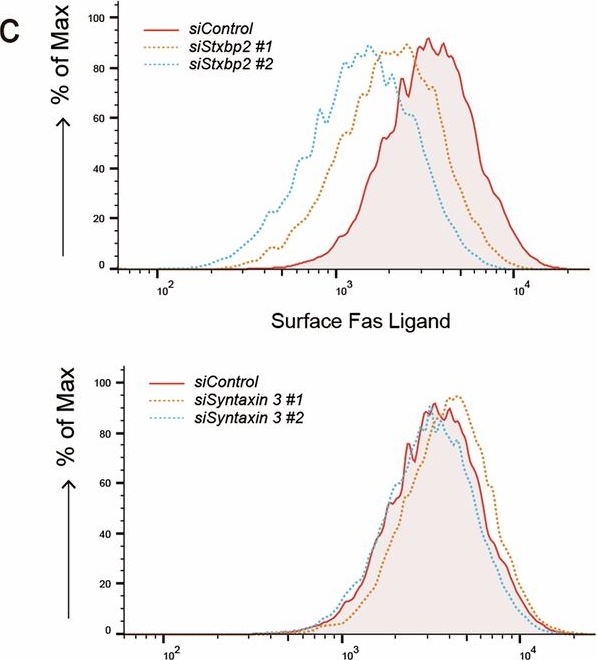 Fig.3.C showing Flow cytometry/Cell sorting from the publication: ZNRF1 deficiency disrupts Fas ligand trafficking and immune balance.