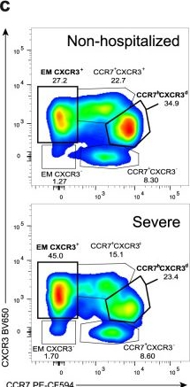 Fig.2.C showing Flow cytometry/Cell sorting in a Homo sapiens (Human) sample from the publication: Peripheral and lung resident memory T cell responses against SARS-CoV-2.