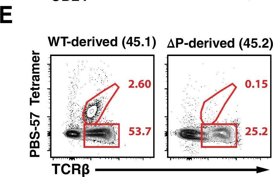 Fig.1.E showing Flow cytometry/Cell sorting from the publication: Histone Deacetylase 7 mediates tissue-specific autoimmunity via control of innate effector function in invariant Natural Killer T Cells.