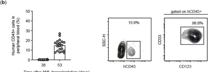 Fig.3.B showing Flow cytometry/Cell sorting from the publication: Improved Activity against Acute Myeloid Leukemia with Chimeric Antigen Receptor (CAR)-NK-92 Cells Designed to Target CD123.