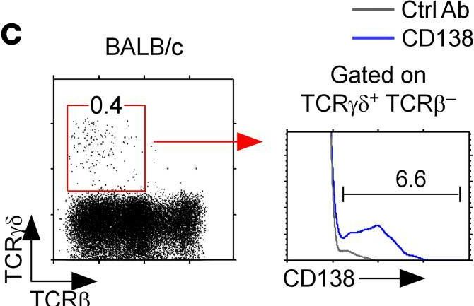 Fig.1.C showing Flow cytometry/Cell sorting from the publication: CD138 expression is a molecular signature but not a developmental requirement for RORγt+ NKT17 cells.