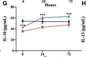 Fig.6.G showing Enzyme-linked immunosorbent assay from the publication: The Study on the Regulation of Th Cells by Mesenchymal Stem Cells Through the JAK-STAT Signaling Pathway to Protect Naturally Aged Sepsis Model Rats.