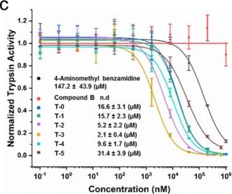 Fig.3.C from the publication: Trio-pharmacophore DNA-encoded chemical library for simultaneous selection of fragments and linkers.