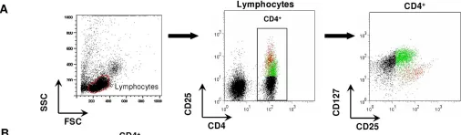 Fig.2.A showing Flow cytometry/Cell sorting from the publication: Regulatory and activated T cells in human Schistosoma haematobium infections.