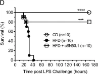 Fig.1.D showing Western Blotting in a Homo sapiens (Human) sample from the publication: Hyperlipidemic hypersensitivity to lethal microbial inflammation and its reversal by selective targeting of nuclear transport shuttles.