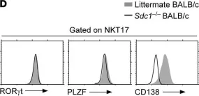 Fig.2.D showing Flow cytometry/Cell sorting from the publication: CD138 expression is a molecular signature but not a developmental requirement for RORγt+ NKT17 cells.