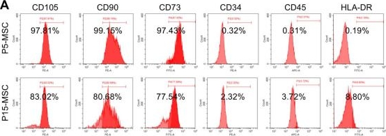 Fig.1.A showing Flow cytometry/Cell sorting in a Mus musculus (House mouse) sample from the publication: YAP1 mediates the dimensional and chemical coordination of immunoregulation and therapy in extensively passaged mesenchymal stem cells.
