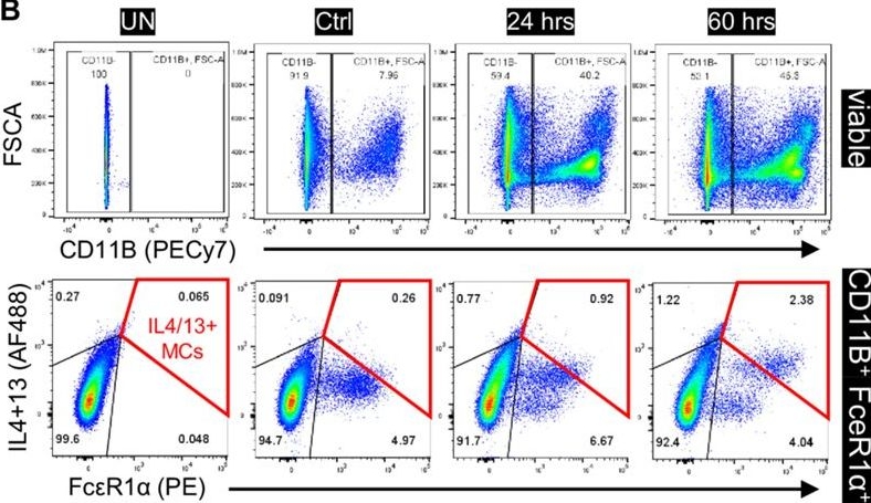 Fig.3.B showing Flow cytometry/Cell sorting in a Mus musculus (House mouse) sample from the publication: Defining cell type-specific immune responses in a mouse model of allergic contact dermatitis by single-cell transcriptomics.