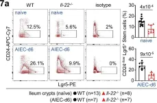 Fig.7.A showing Flow cytometry/Cell sorting in a Mus musculus (House mouse) sample from the publication: IL-22 initiates an IL-18-dependent epithelial response circuit to enforce intestinal host defence.