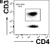 Fig.3.B showing Flow cytometry/Cell sorting in a Homo sapiens (Human) sample from the publication: Circulating T cell subsets are altered in individuals with chronic spinal cord injury.
