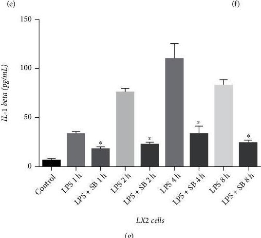 Fig.3.E showing Enzyme-linked immunosorbent assay from the publication: Lipopolysaccharide Inhibits Autophagy and Promotes Inflammatory Responses via p38 MAPK-Induced Proteasomal Degradation of Atg13 in Hepatic Stellate Cells.