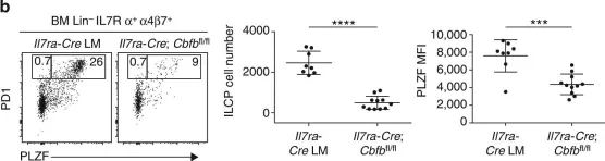 Fig.8.B showing Flow cytometry/Cell sorting in a Mus musculus (House mouse) sample from the publication: A shared Runx1-bound Zbtb16 enhancer directs innate and innate-like lymphoid lineage development.