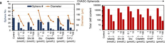 Fig.2.B from the publication: A novel chemotherapeutic protocol for peritoneal metastasis and inhibition of relapse in drug resistant ovarian cancer.