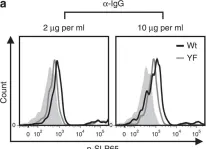 Fig.1.A showing Flow cytometry/Cell sorting from the publication: Reactivation of IgG-switched memory B cells by BCR-intrinsic signal amplification promotes IgG antibody production.