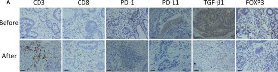 【OT】EMD PD-1 MTH Premier 20-21757-1 O Scale EMD SD35 Diesel Atlantic