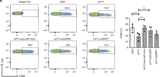 Fig.6.A showing Flow cytometry/Cell sorting in a Homo sapiens (Human) sample from the publication: Regulation of miR-181a expression in T cell aging.