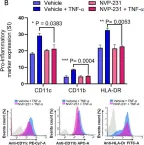 Fig.1.B showing Flow cytometry/Cell sorting from the publication: Ceramide kinase regulates TNF-α-induced immune responses in human monocytic cells.