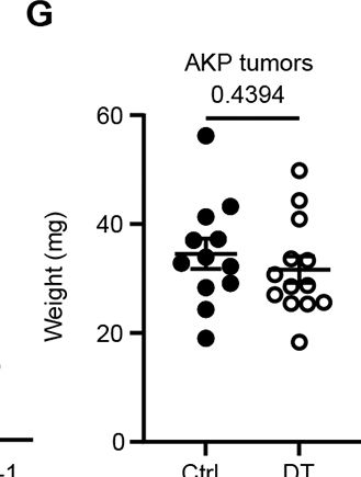 Fig.1.G from the publication: Opposing functions of distinct regulatory T cell subsets in colorectal cancer.