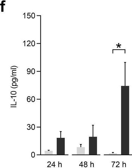 Fig.8.F showing Enzyme-linked immunosorbent assay from the publication: Sex-specific maternofetal innate immune responses triggered by group B Streptococci.