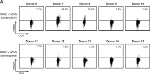 Fig.3.A showing Flow cytometry/Cell sorting from the publication: Regulation and gene expression profiling of NKG2D positive human cytomegalovirus-primed CD4+ T-cells.