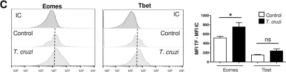 Fig.2.C showing Flow cytometry/Cell sorting from the publication: Thymic expression of IL-4 and IL-15 after systemic inflammatory or infectious Th1 disease processes induce the acquisition of "innate" characteristics during CD8+ T cell development.