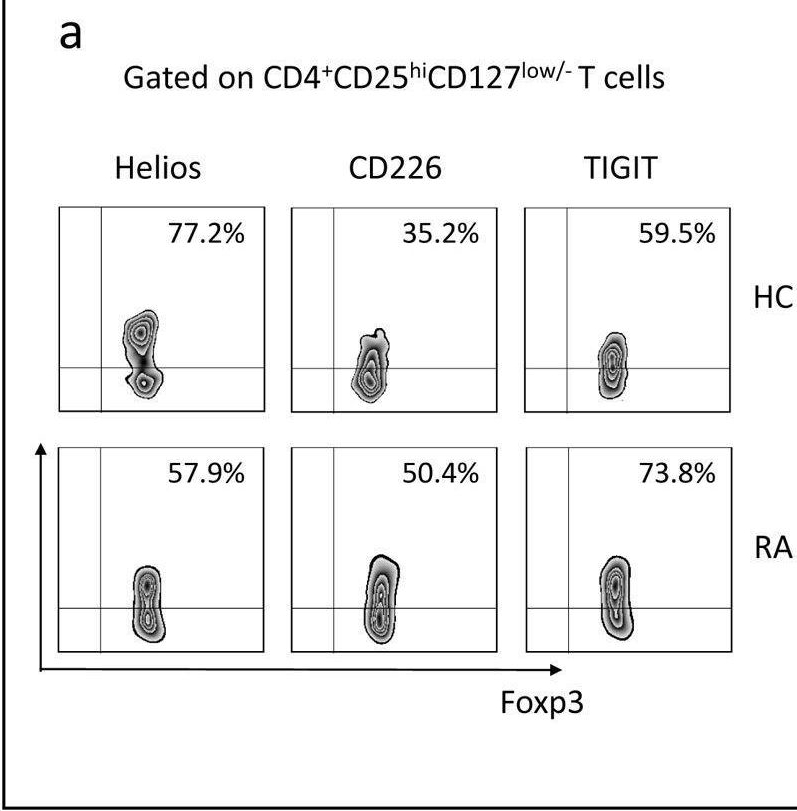 Fig.3.A showing Flow cytometry/Cell sorting in a Homo sapiens (Human) sample from the publication: Helios but not CD226, TIGIT and Foxp3 is a Potential Marker for CD4+ Treg Cells in Patients with Rheumatoid Arthritis.