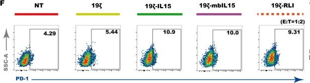 Fig.4.F showing Flow cytometry/Cell sorting in a Homo sapiens (Human) sample from the publication: Constitutive RLI Armoring Enhances CAR-NK Cell Effector Functions but Causes Lethal Toxicity In Vivo.