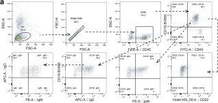Fig.3.A showing Flow cytometry/Cell sorting in a Mus musculus (House mouse) sample from the publication: Human-like NSG mouse glycoproteins sialylation pattern changes the phenotype of human lymphocytes and sensitivity to HIV-1 infection.