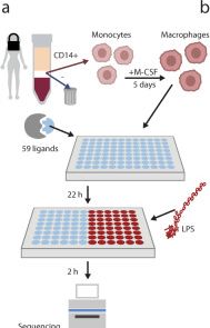 Fig.6.A from the publication: Artificial neural networks enable genome-scale simulations of intracellular signaling.