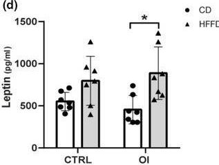 Fig.2.D showing Enzyme-linked immunosorbent assay from the publication: Neonatal hyperoxia leads to white adipose tissue remodeling and susceptibility to hypercaloric diet.