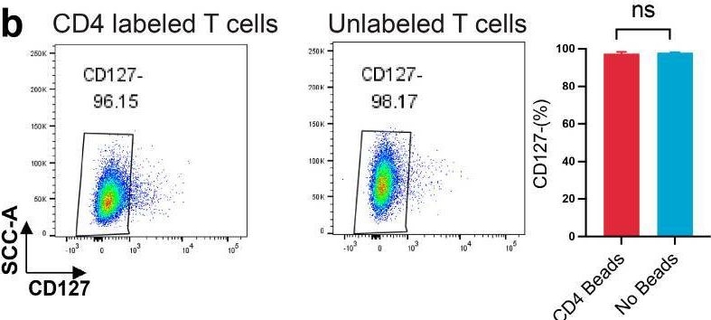 Fig.5.B showing Flow cytometry/Cell sorting in a Homo sapiens (Human) sample from the publication: Receptor-Mediated SPION Labeling of CD4+ T Cells for Longitudinal MRI Tracking of Distribution Following Systemic Injection in Mouse.