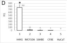 Fig.1.D from the publication: DNA Methylation Patterns Correlate with the Expression of SCNN1A, SCNN1B, and SCNN1G (Epithelial Sodium Channel, ENaC) Genes.